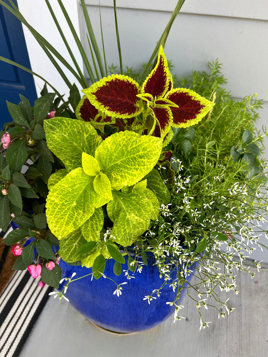 Custom Summer Planters - Heights Park Studios