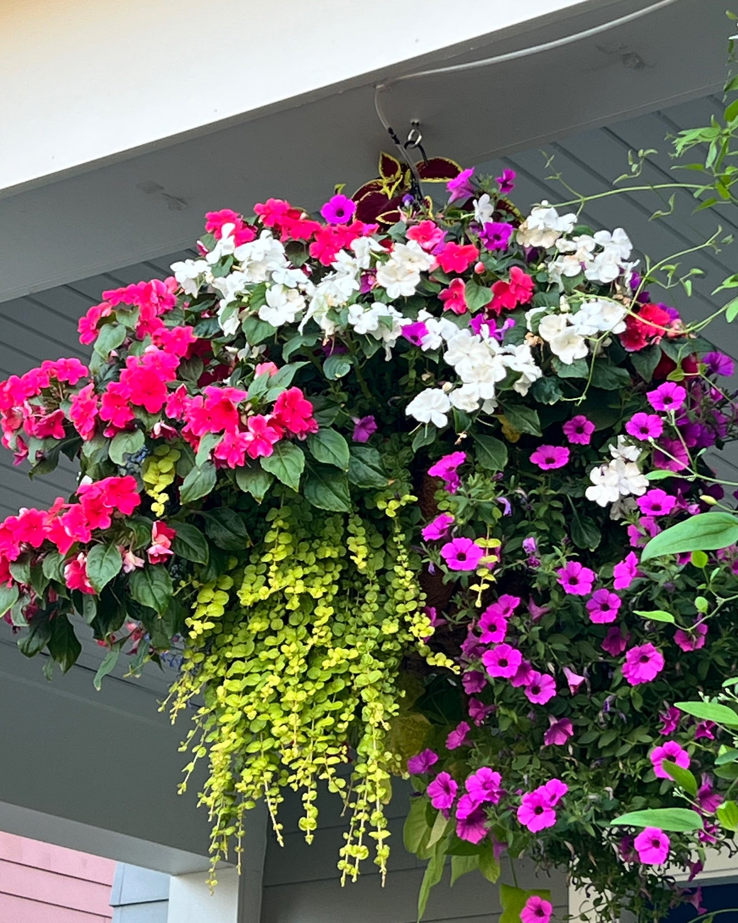 Custom Summer Hanging Baskets - Heights Park Studios