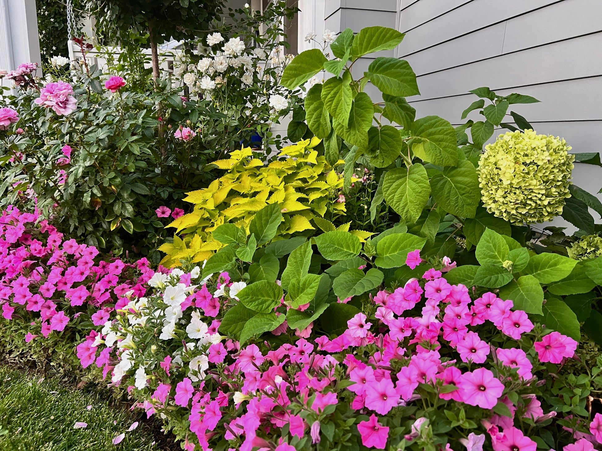 Landscape Consult - Heights Park Studios