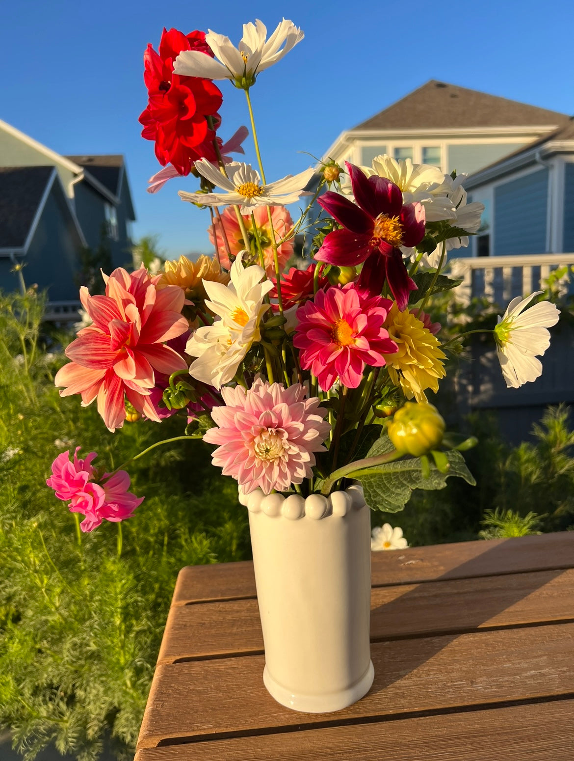 Package 1 - Garden Consult & Written Plan - Heights Park Pottery