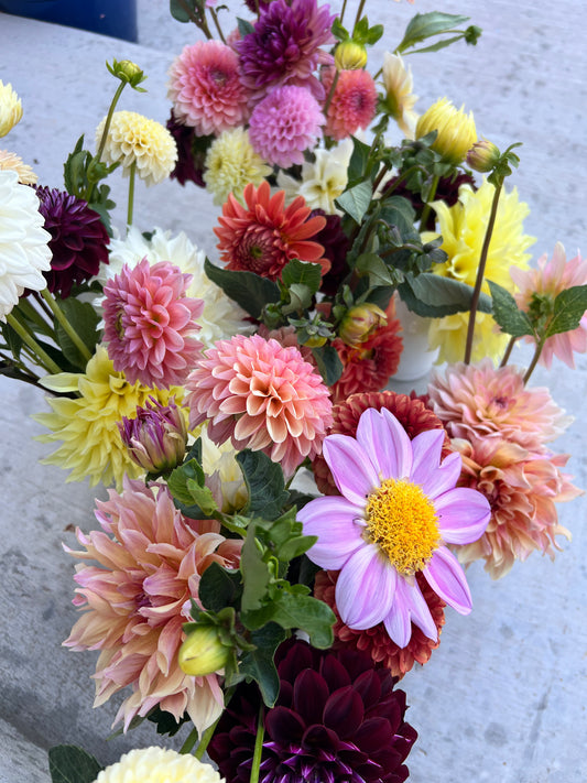 Cut Flower Garden Consult - Heights Park Studios