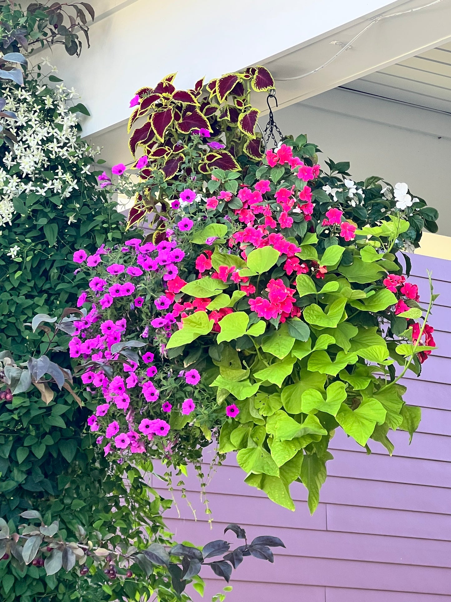 Custom Summer Hanging Baskets - Heights Park Studios